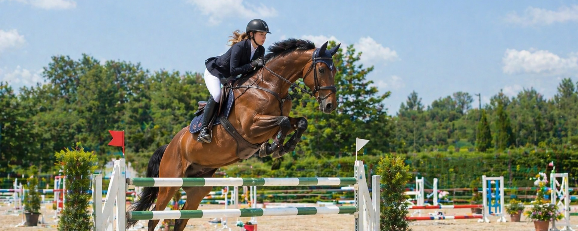 Promotion Centre Équestre de Cervia